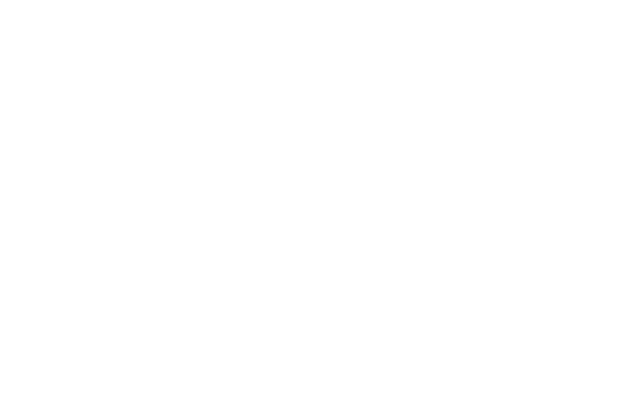 Fourwhales