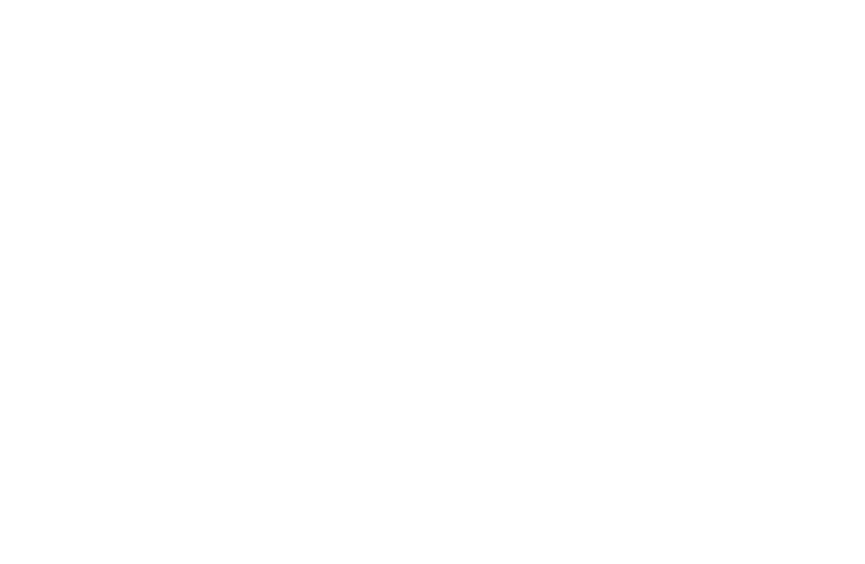 Kiro's Tours