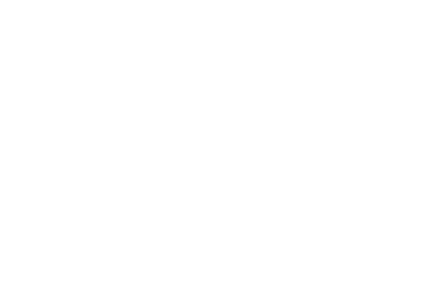 care synq