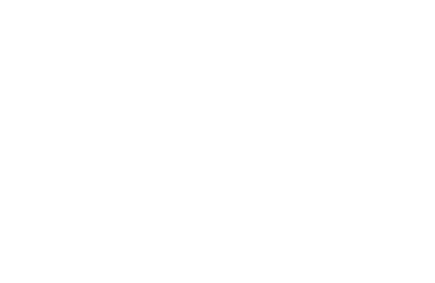 ices