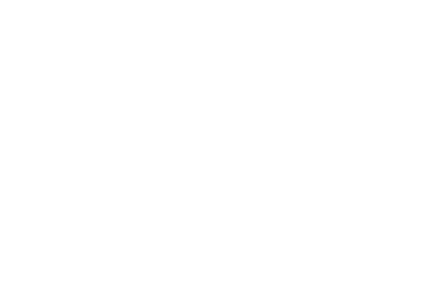 zoetis